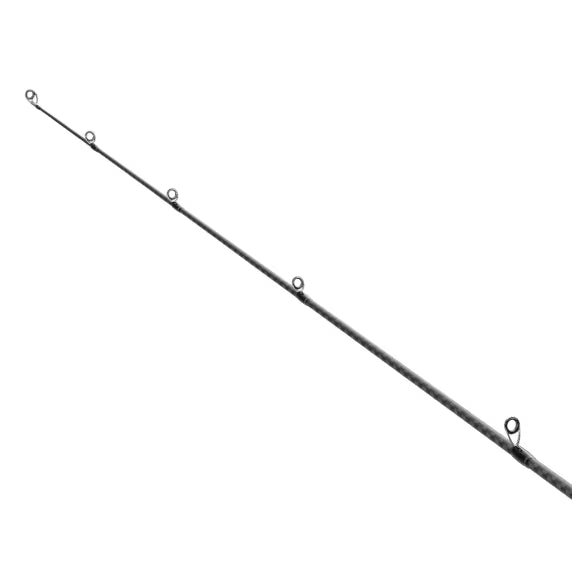 Canne Spinning Shimano Dialuna Inshore