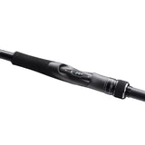 Canne Spinning Shimano Dialuna Inshore