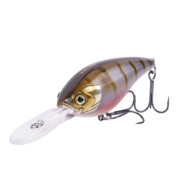 Yasei Cover Crank F MR 70