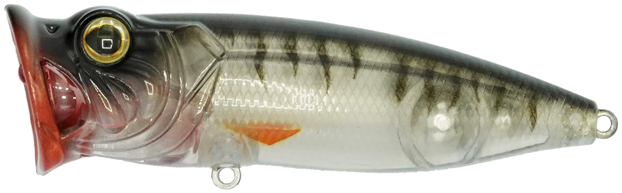 Perch Pop Junior - 4cm