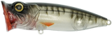 Perch Pop Junior - 4cm