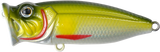 Perch Pop Junior - 4cm
