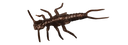 Stonefly 0.75" - 1.9cm