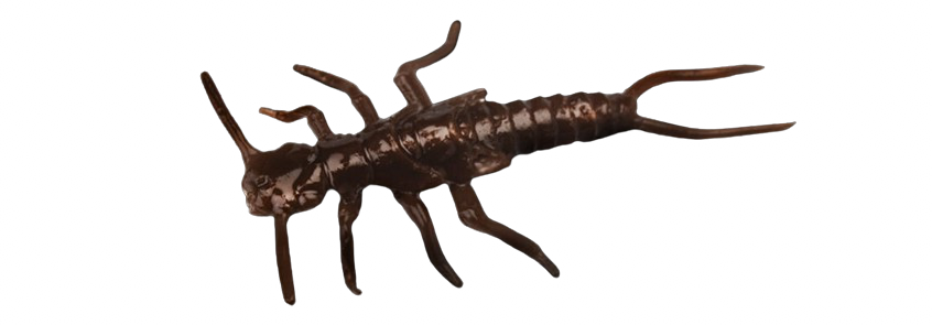 Stonefly 0,75" - 1,9cm