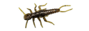 Stonefly 0.75" - 1.9cm