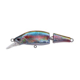 Poisson Nageur Palms Beatrice 5,3cm