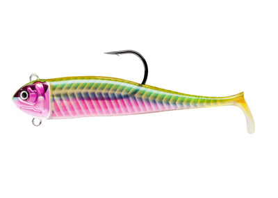 BISCAY COAST MINNOW - 15cm