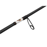 Canne Spinning Perch Academy