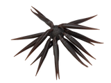 Leurre Souple Hideup Coike Fish M Elastomer - Boule 1,7cm