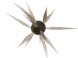 Leurre Souple Hideup Coike Fish M Elastomer - Boule 1,7cm