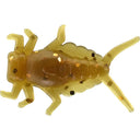 Dappy Mayfly