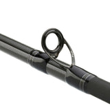 Canne Casting Exceler 2025