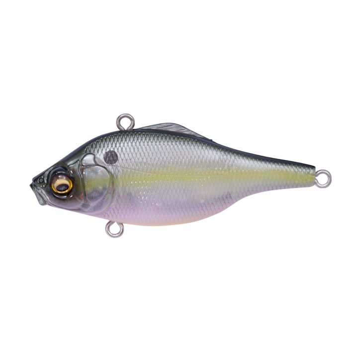 VIBRATION-X SMATRA (SILENT)