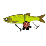 Glide Bait 178 SS Lure Builders (Série Limitée)