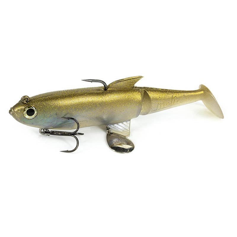 Shad 100