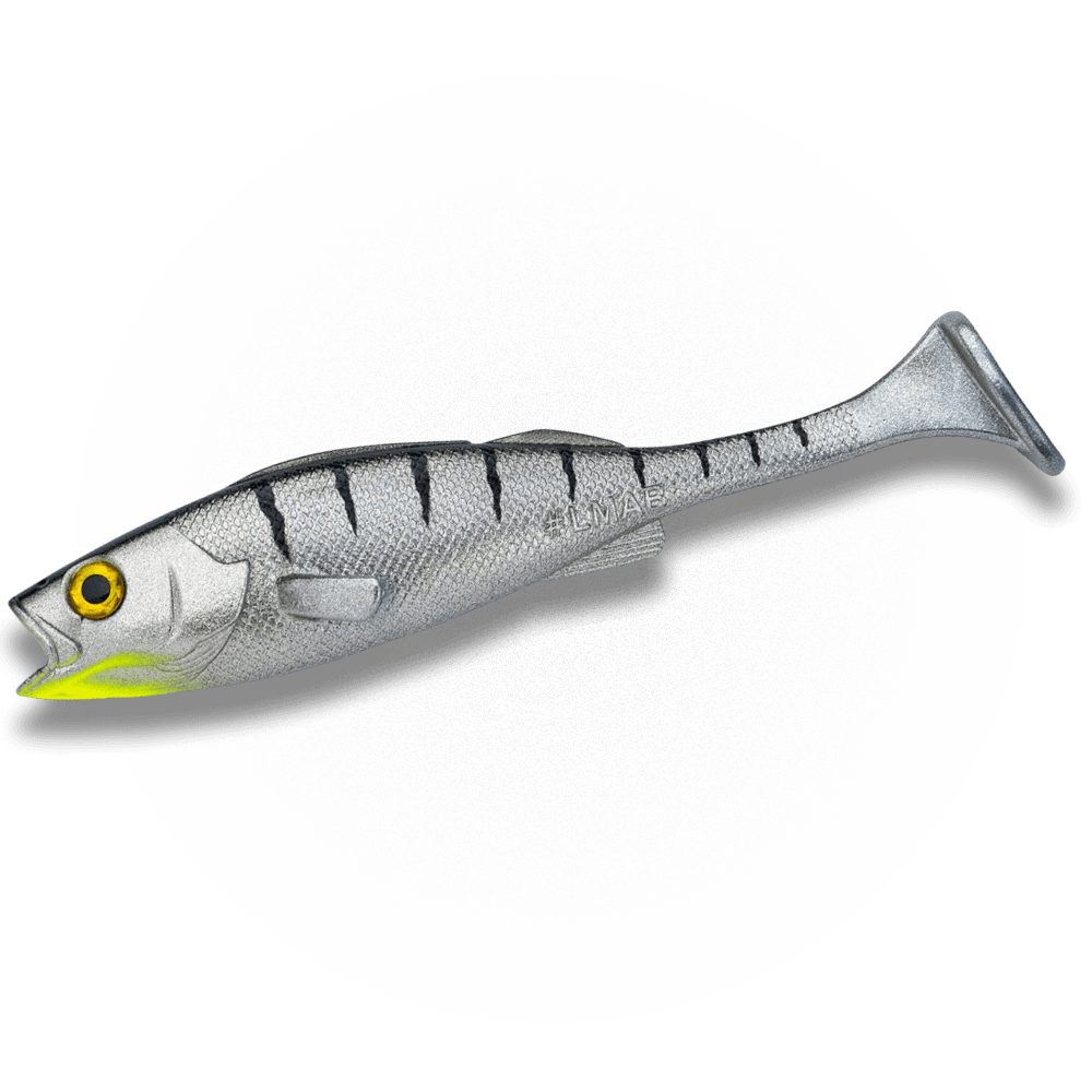 KØFI PERCH SHAD - Chrome Tiger