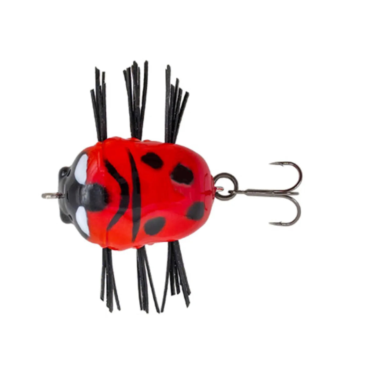 Komusi Bug 23
