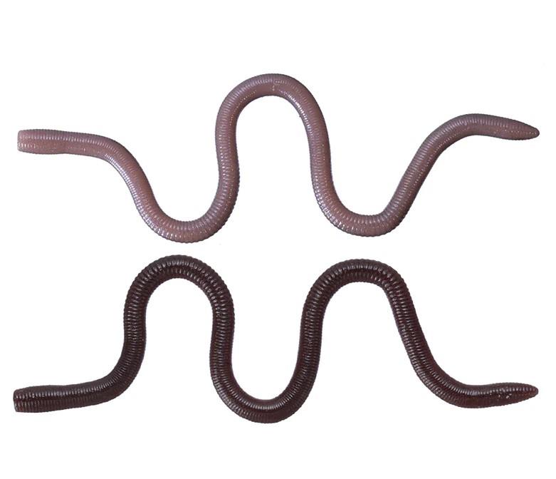 Mimizu Medium - 10cm