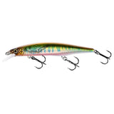 Bantam Zumverno 95SP FB