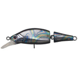 Poisson Nageur Palms Beatrice 5,3cm