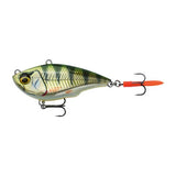 FAT VIBES XL - 12,5cm