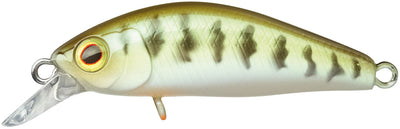 CHUBBY MINNOW 35 SP