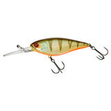 FLAT DD SQUIRREL 79 SP