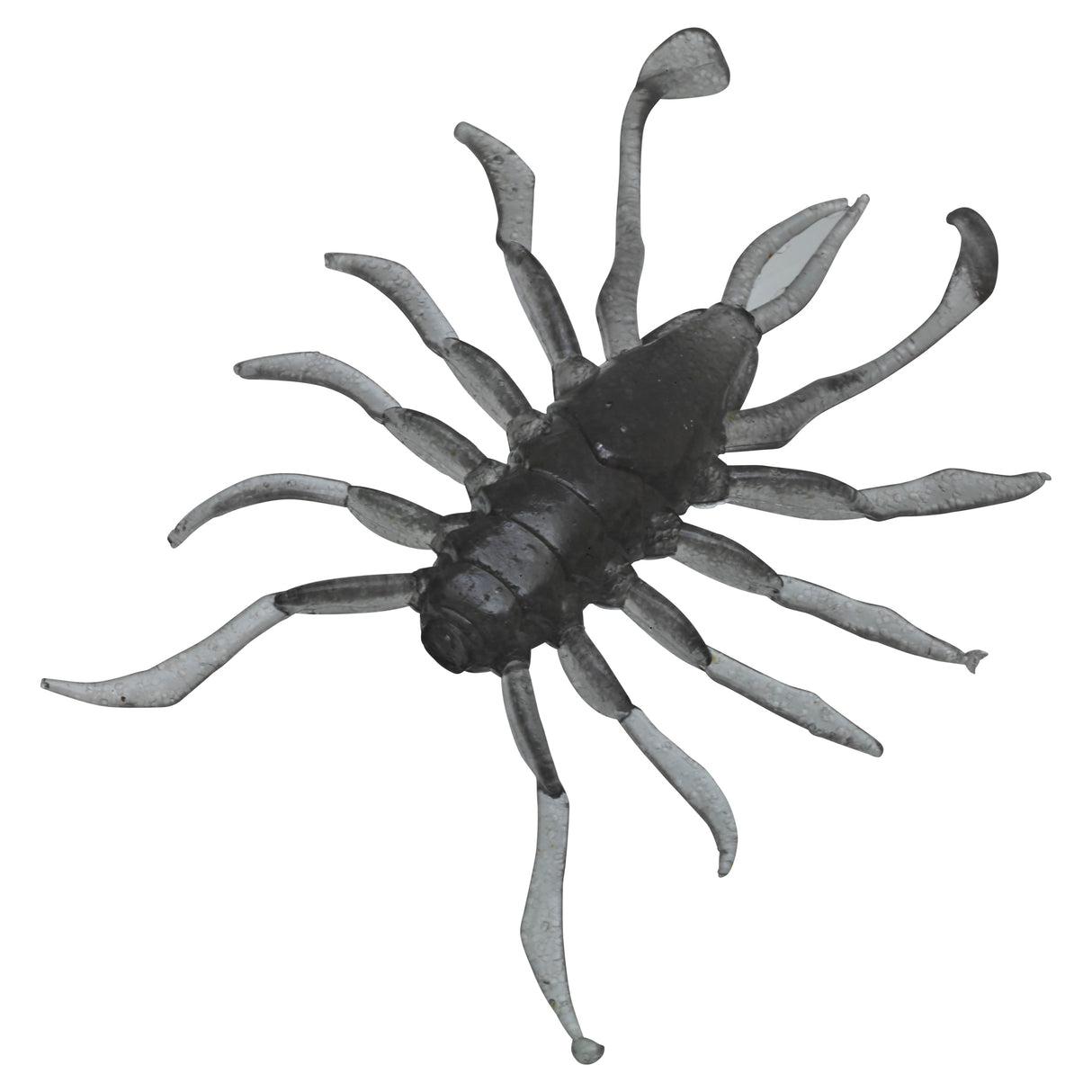 RV BUG 1.5"