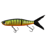 Poisson Nageur Adam's Glide Reaper 240 SS - 24cm