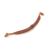 Sneaky Worm 5"