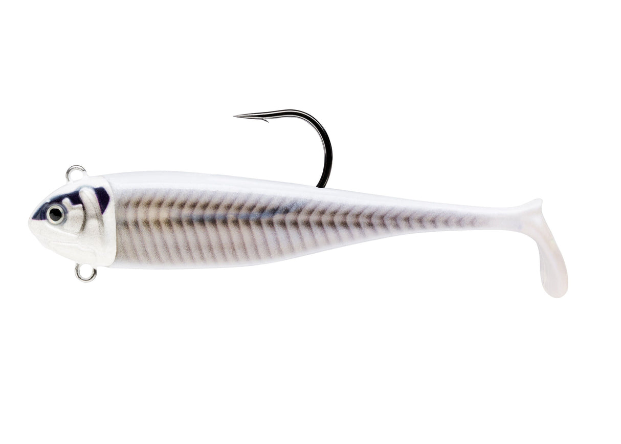 BISCAY COAST MINNOW - 9cm