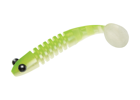 JK FISHER - Skeleton 18cm - Delalande